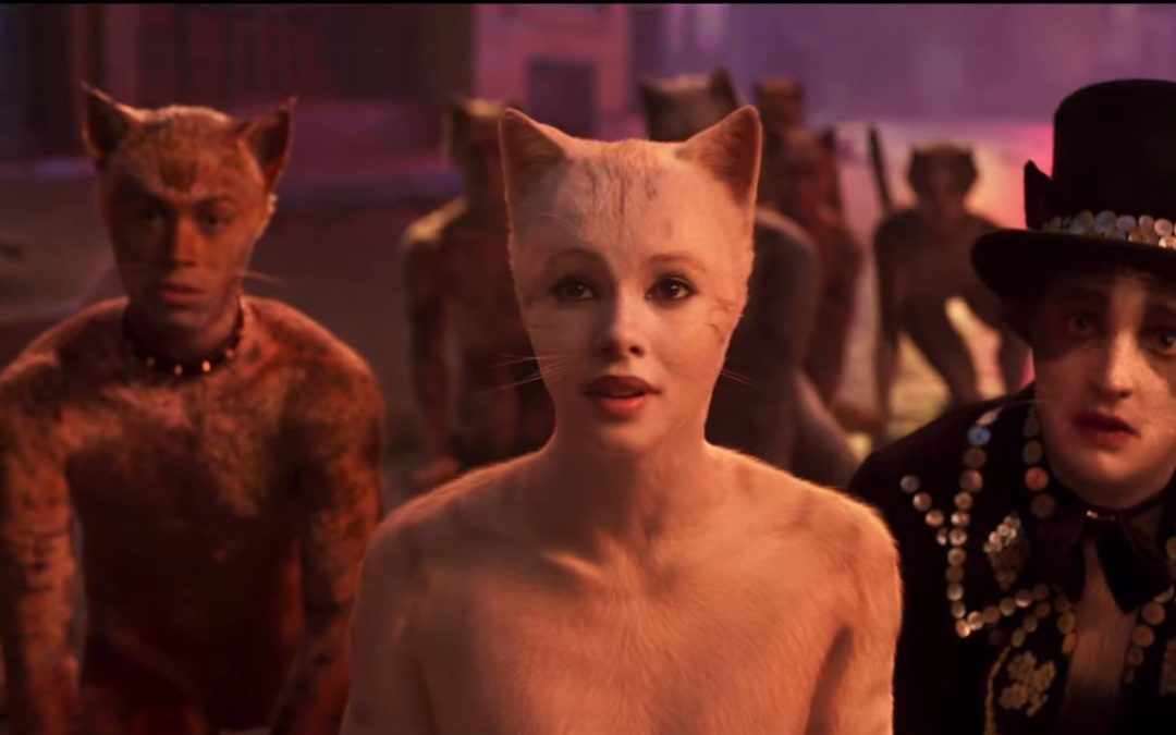 TOMATO SLAM: CATS